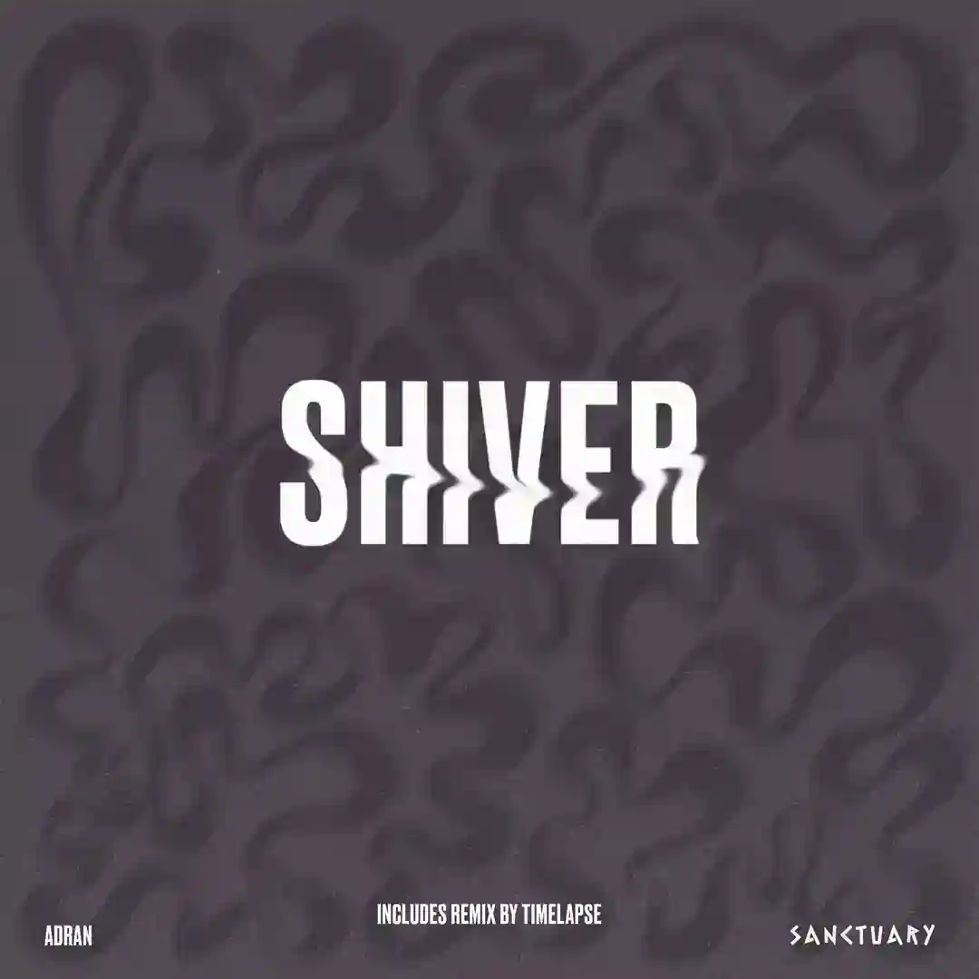 Shiver (TIMELAPSE Remix) cover