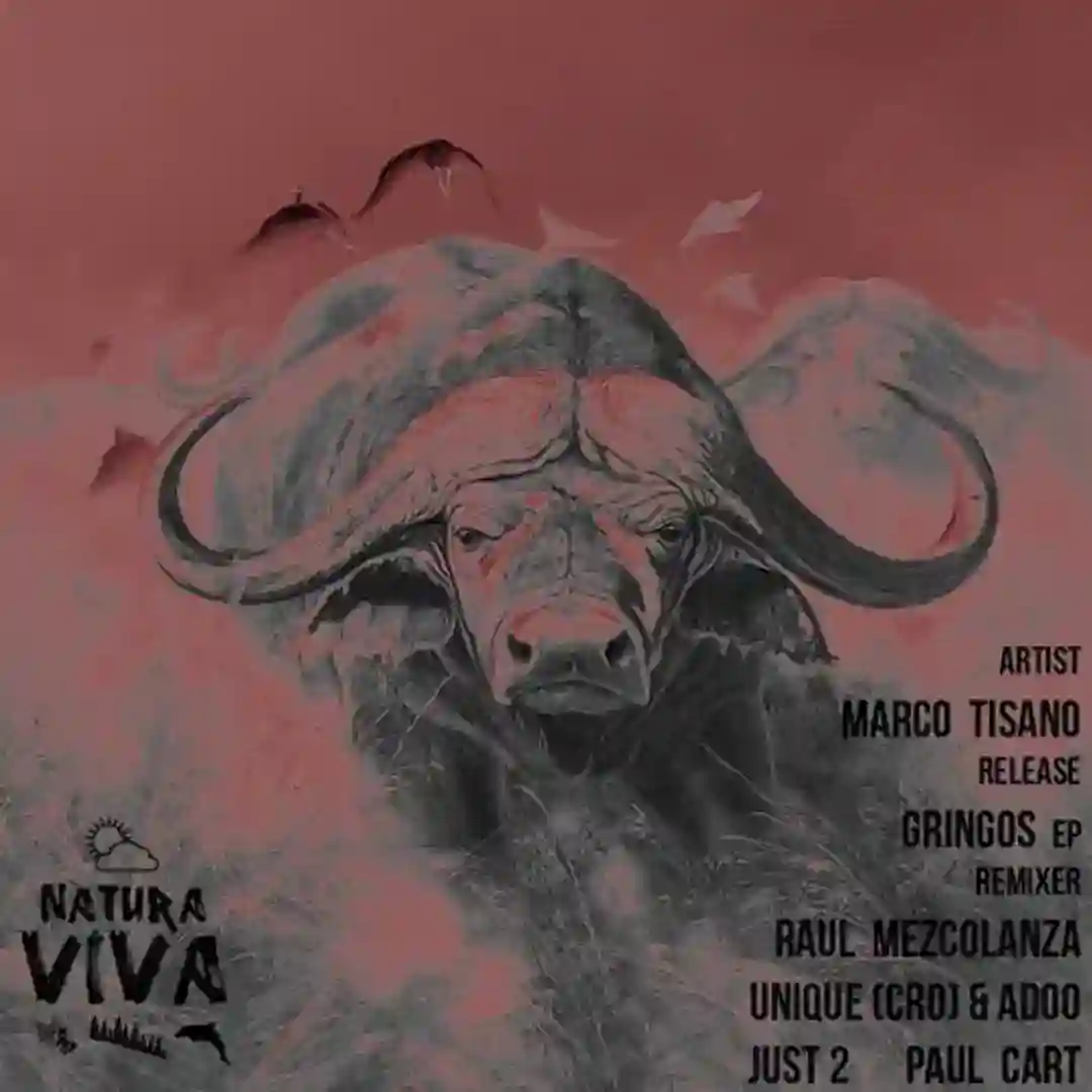 Gringos cover