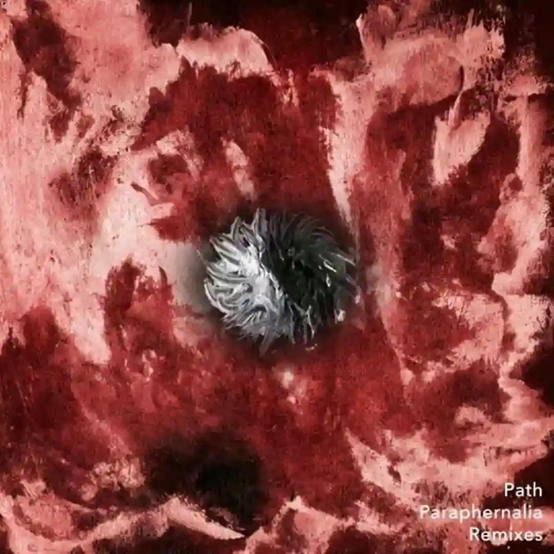 Paraphernalia Remixes cover