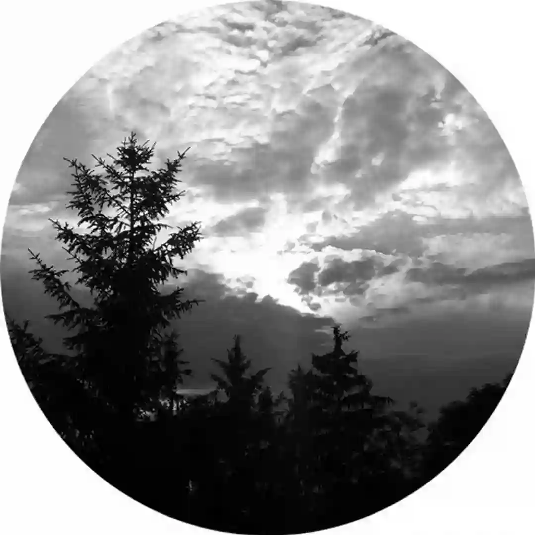Search Continues (Original Mix) cover