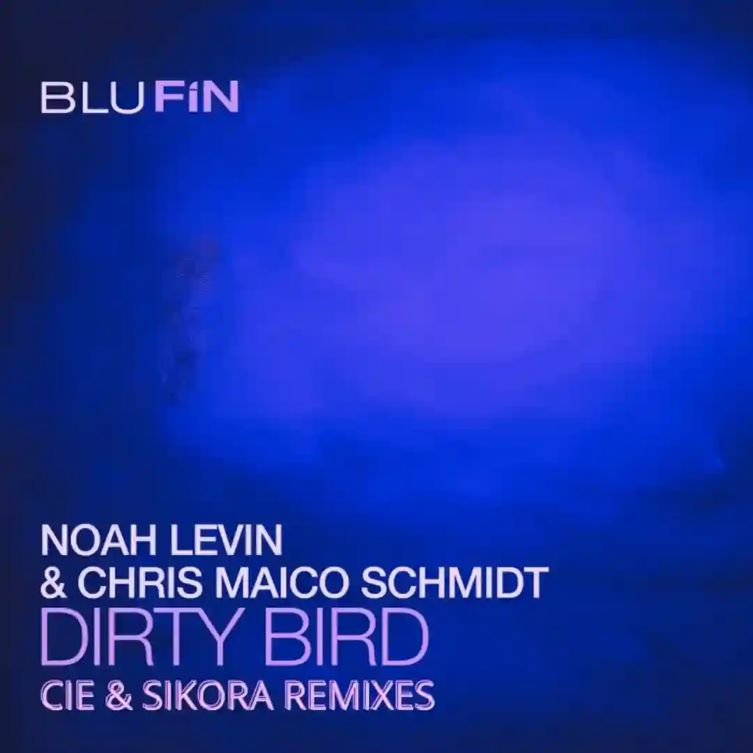 Dirty Bird (The Remixes) cover