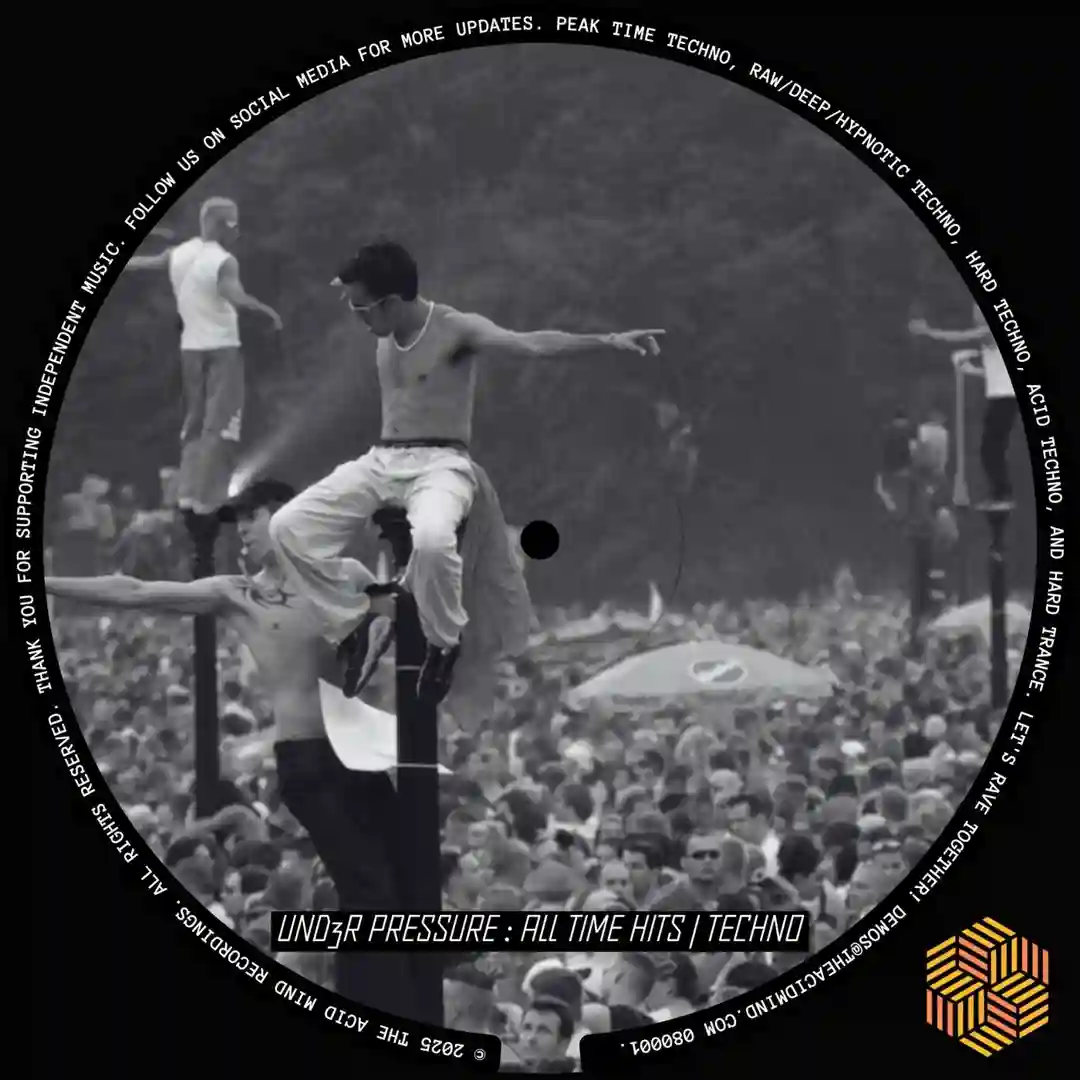 Rollercoaster (Original Mix) cover
