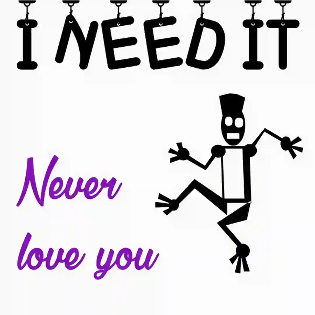 Never Love You cover