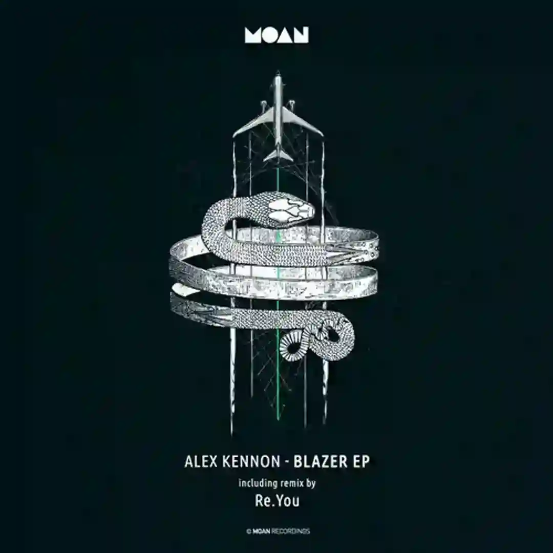 Blazer (Re.you Remix) cover