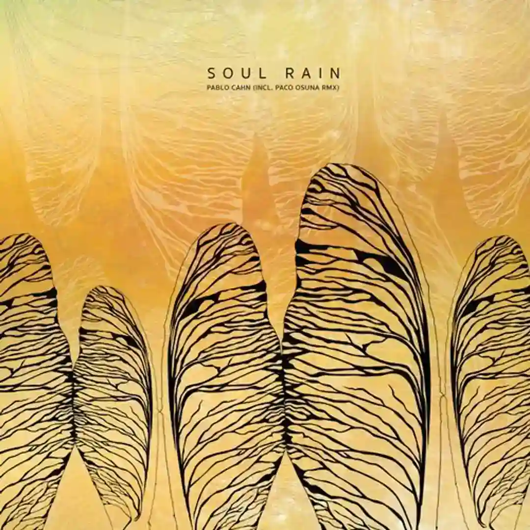 Soul Rain (Paco Osuna Remix) cover