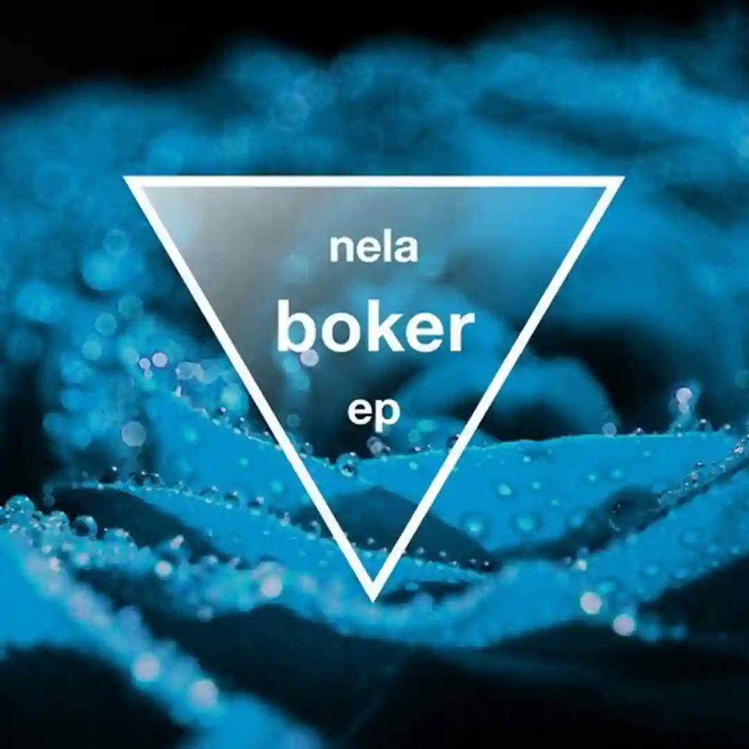 Boker (Lee Van Dowski Remix) cover