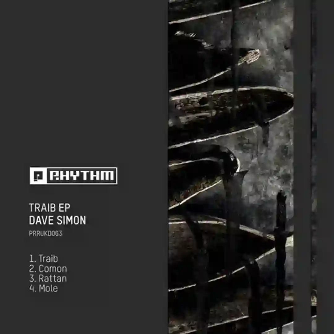 Traib (Original Mix) cover