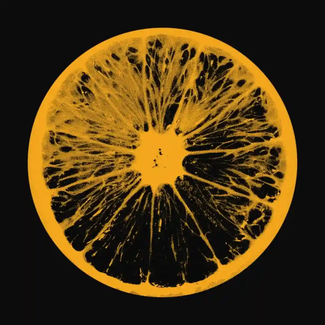 Ferroso (Original Mix) cover