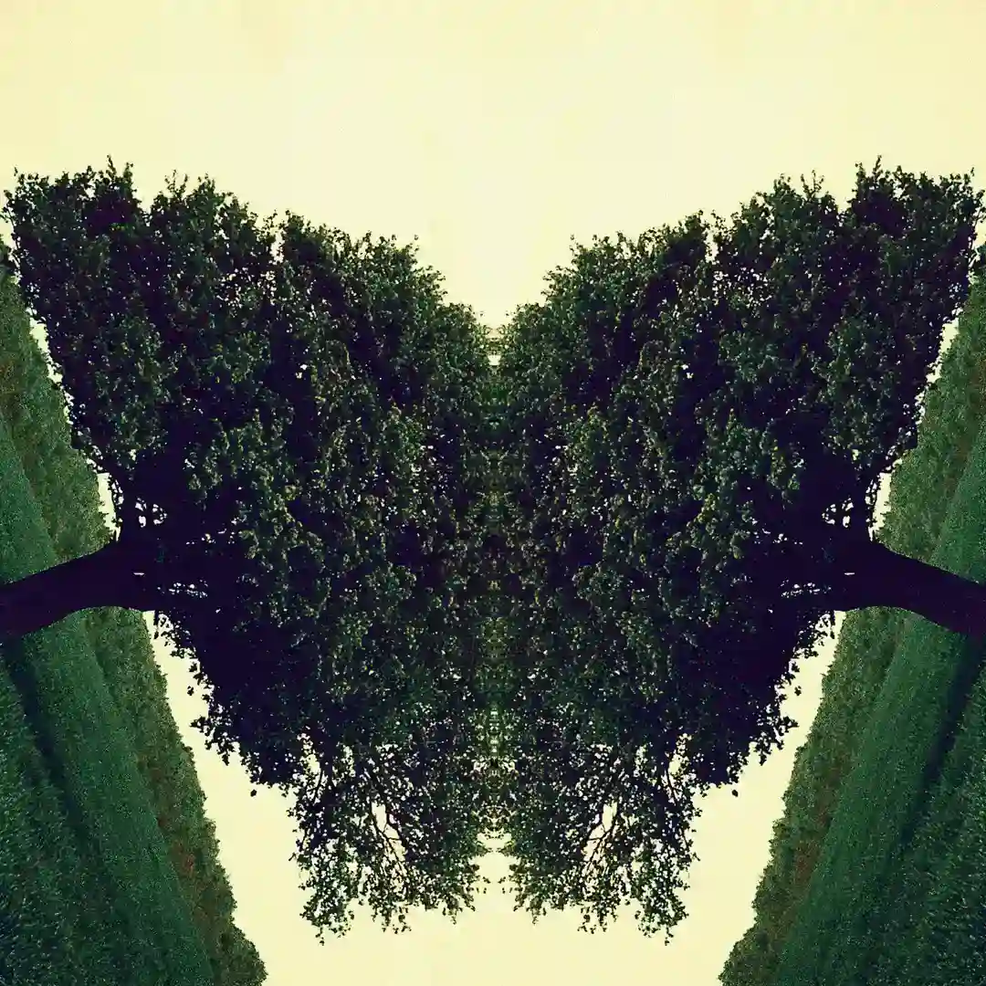 Traversa cover