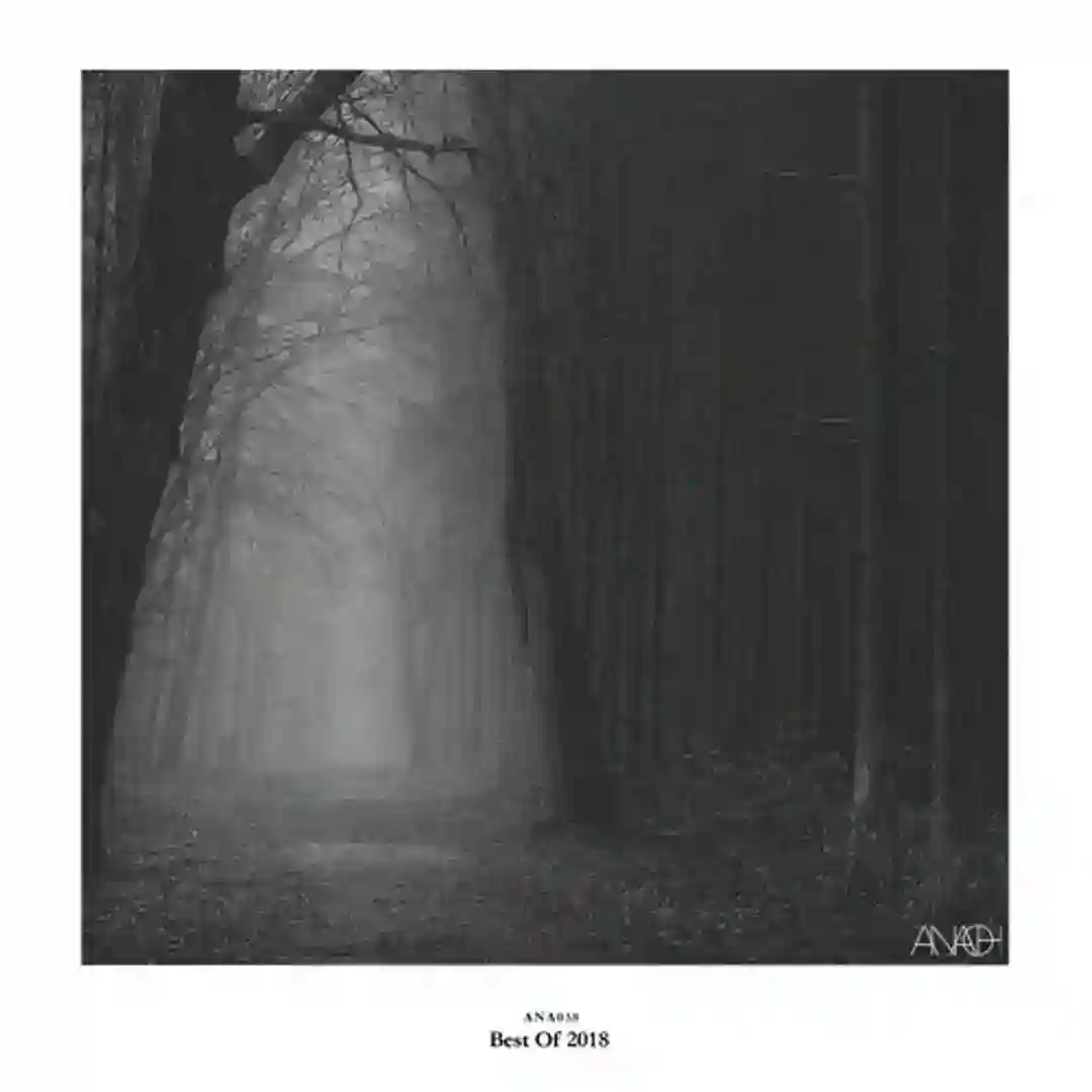 Veiled Reel (Original Mix) cover
