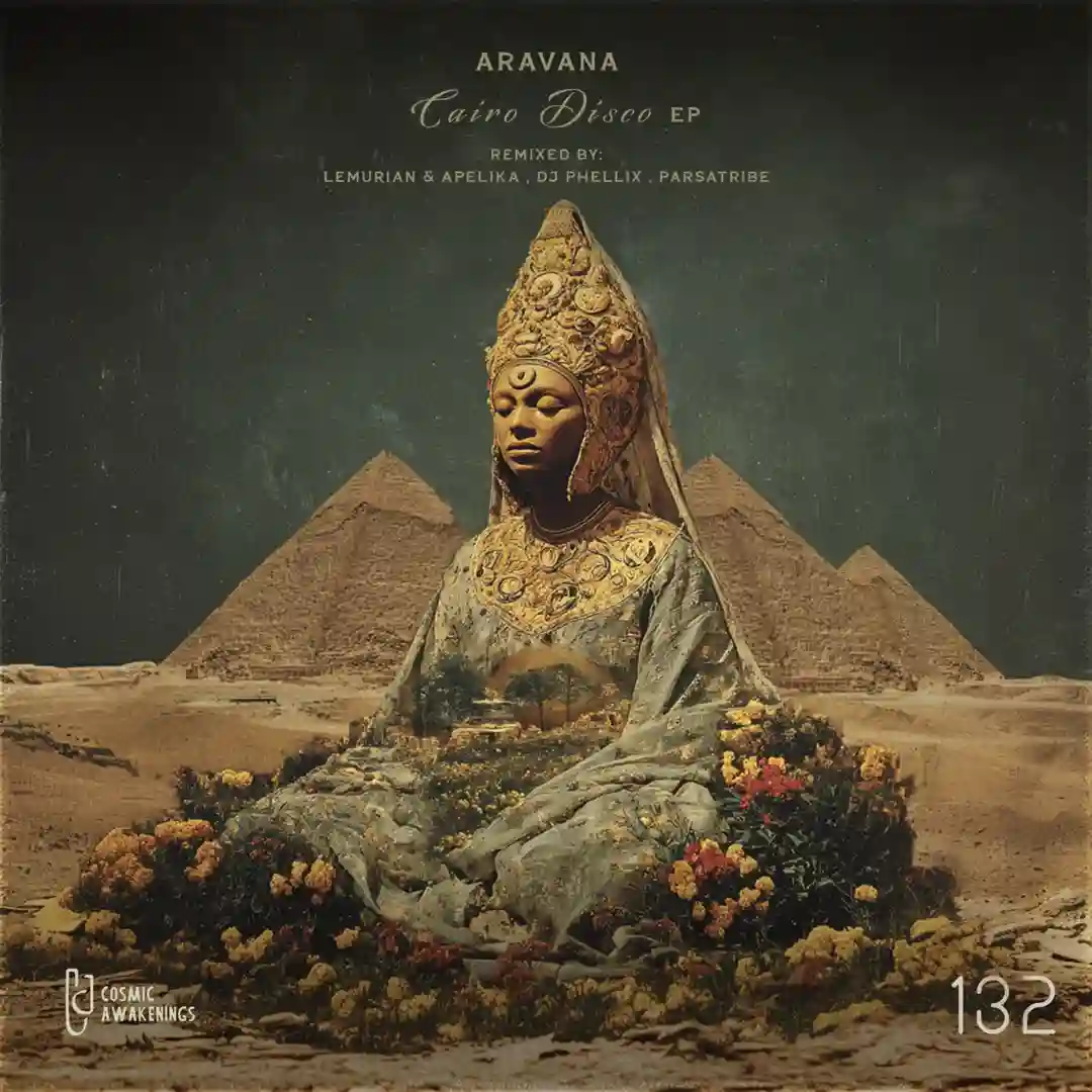 Cairo Disco feat. Hamed Habibpour (Lemurian & Apelika Remix) cover