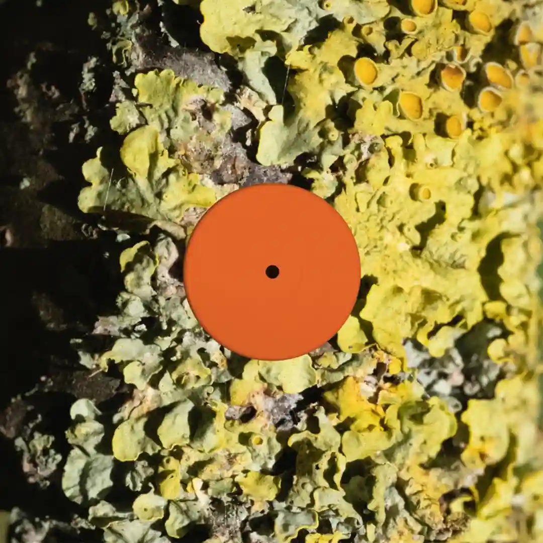 Gausian Ecstacy (Original Mix) cover