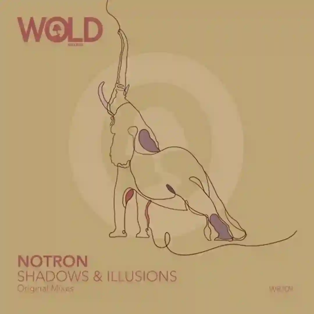 Shadows and Illusions cover