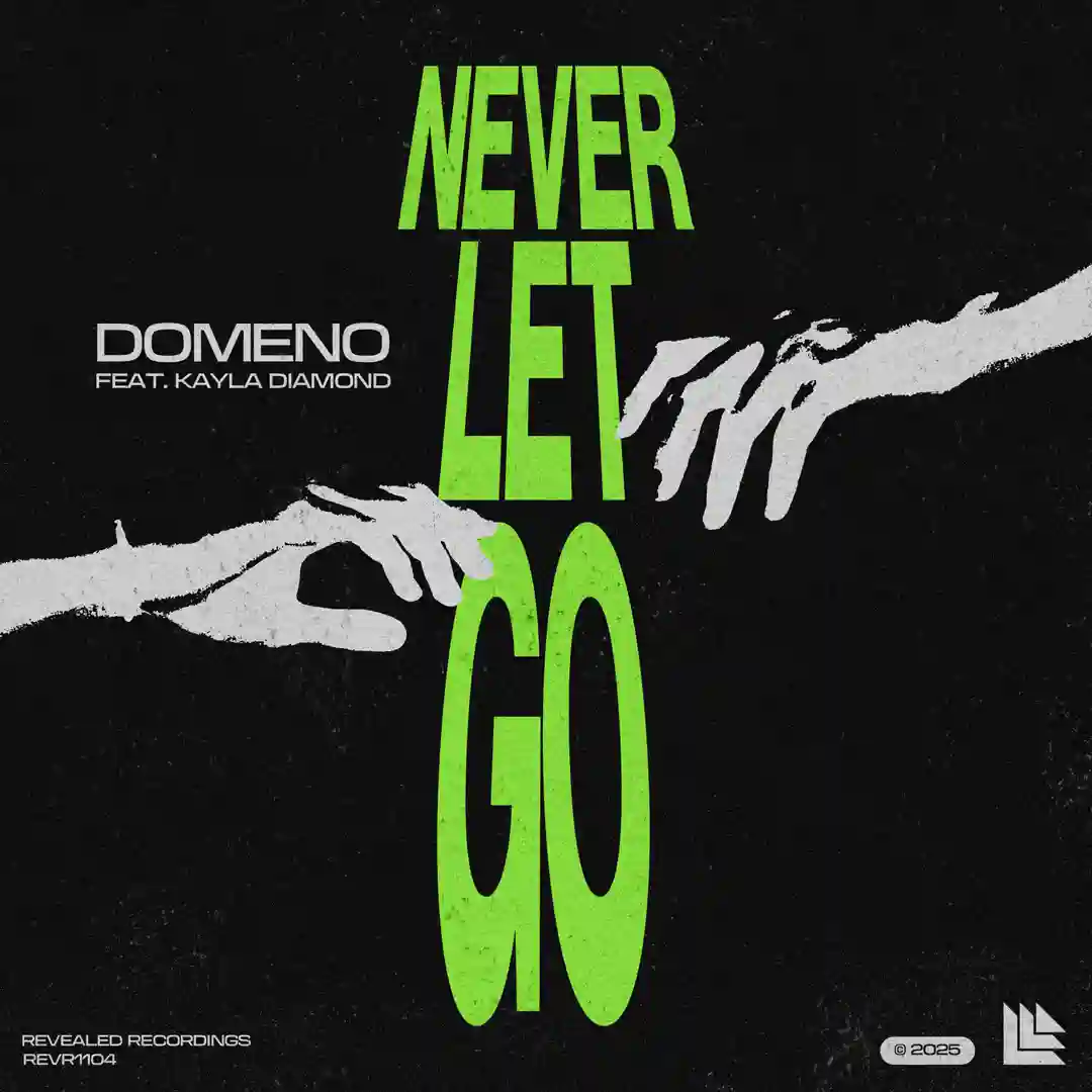 Never Let Go feat. Kayla Diamond (Extended Mix) cover