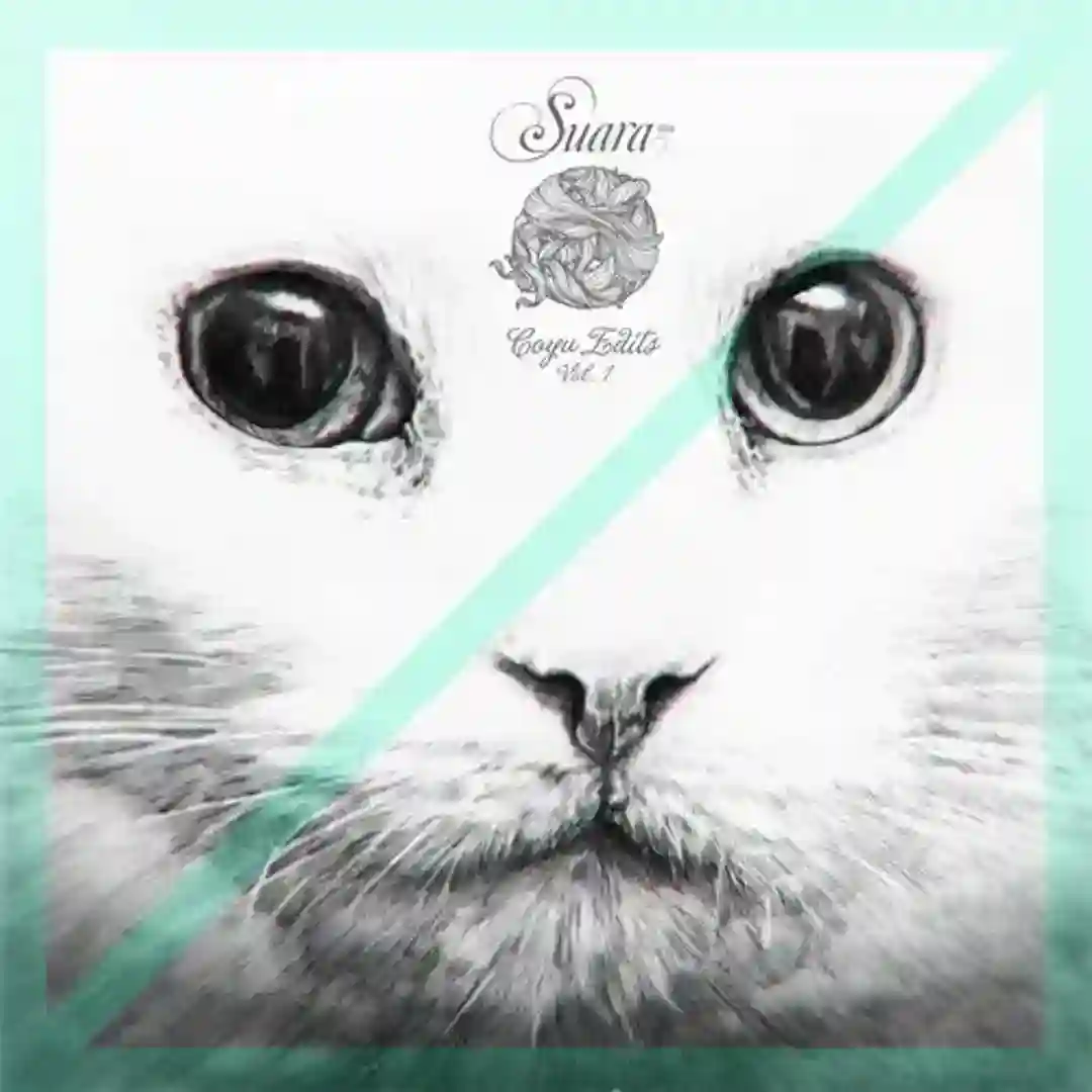 Filgud (Coyu 2012 Edit) cover