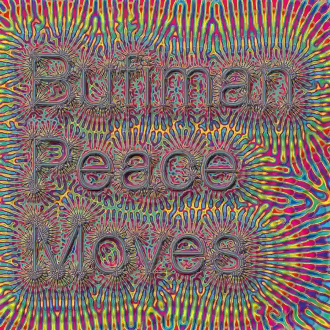 Peace Moves (Original Mix) cover