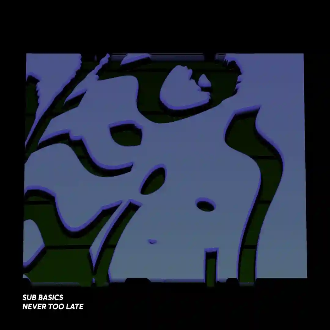 Never Too Late cover