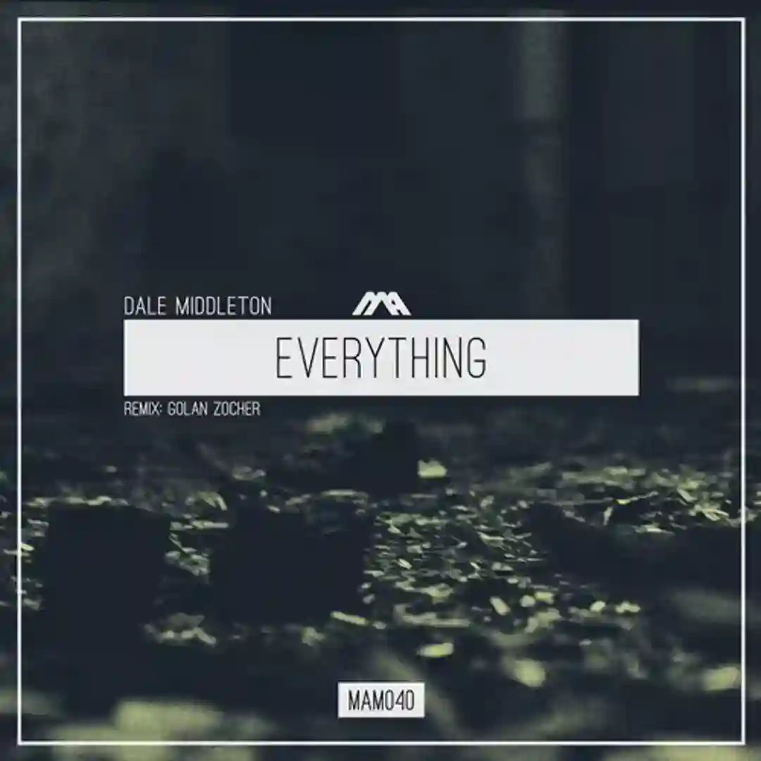 Everything (Golan Zocher Remix) cover