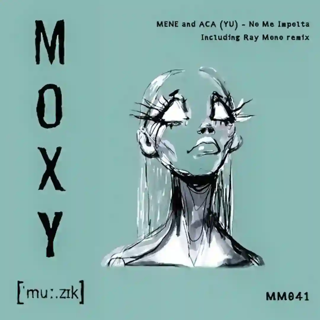 No Me Impolta (Ray Mono Remix) cover
