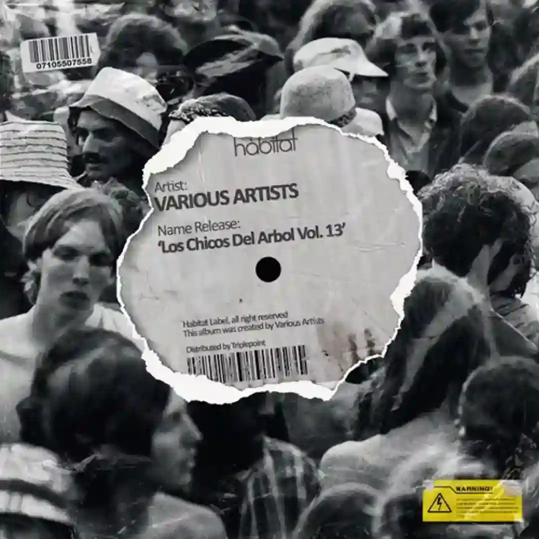 Shot You Down (Original Mix) cover