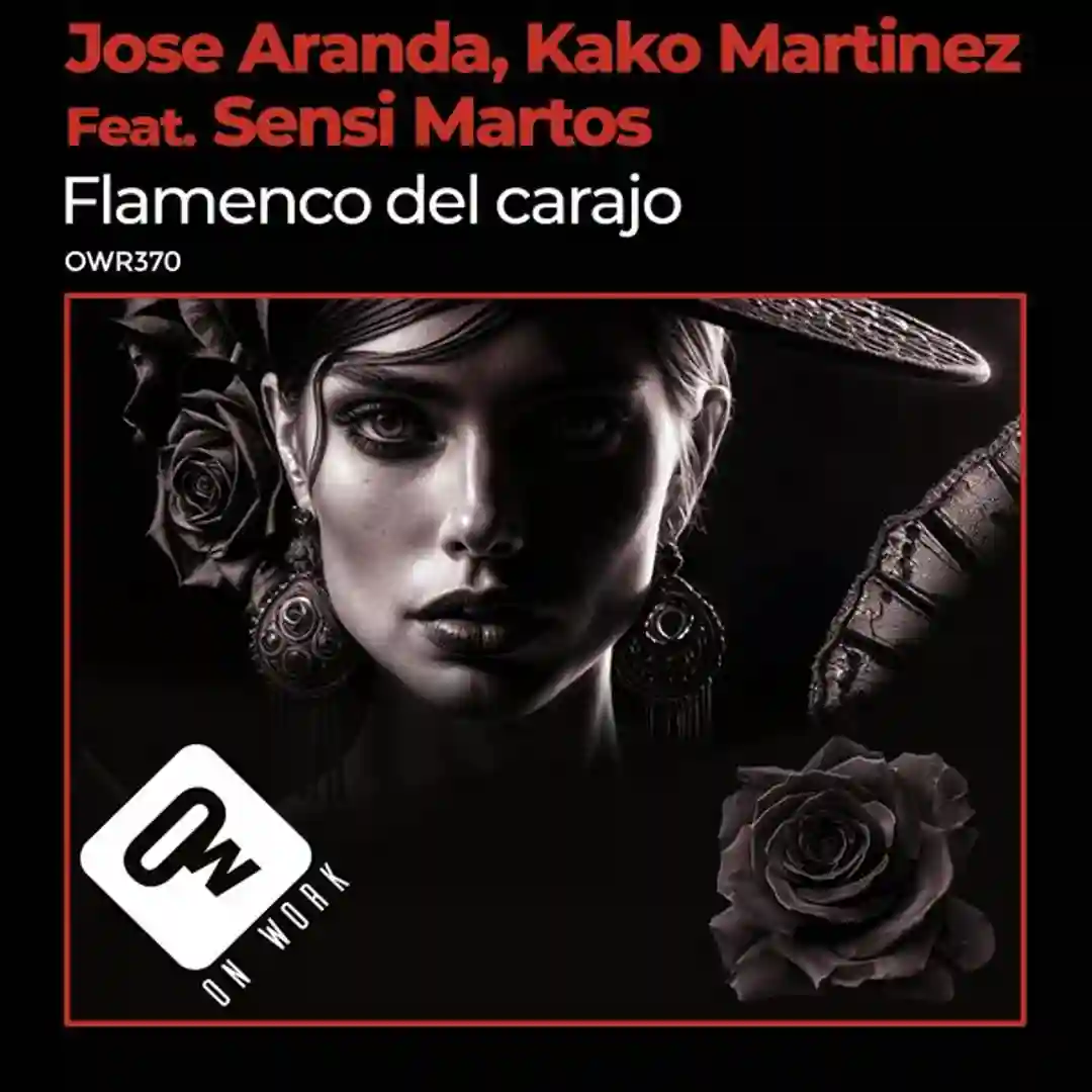 Flamenco del carajo cover