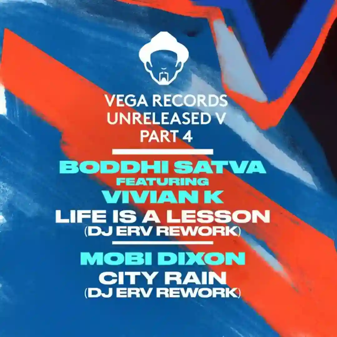 Life Is A Lesson (DJ ERV Rework) cover