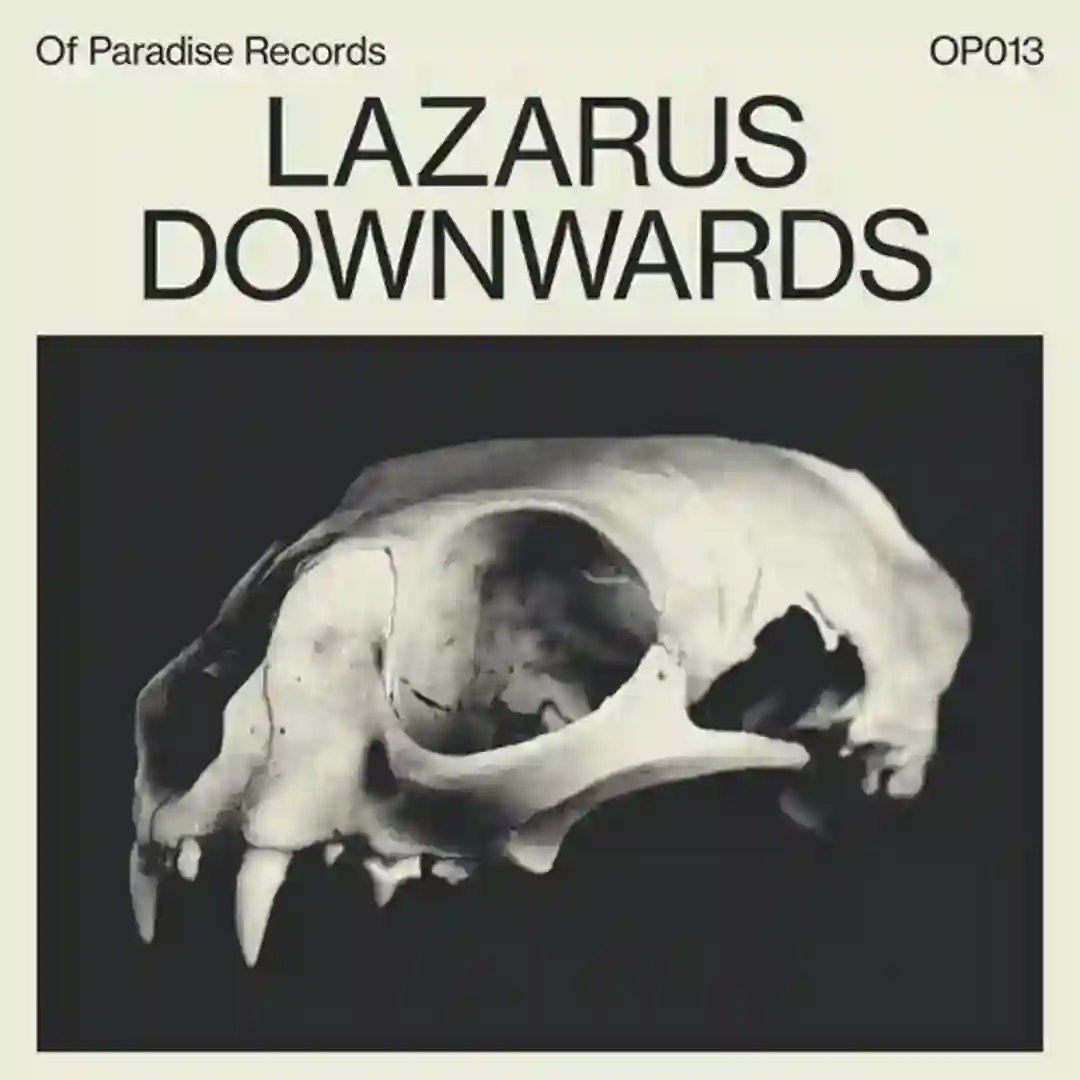 Downwards cover