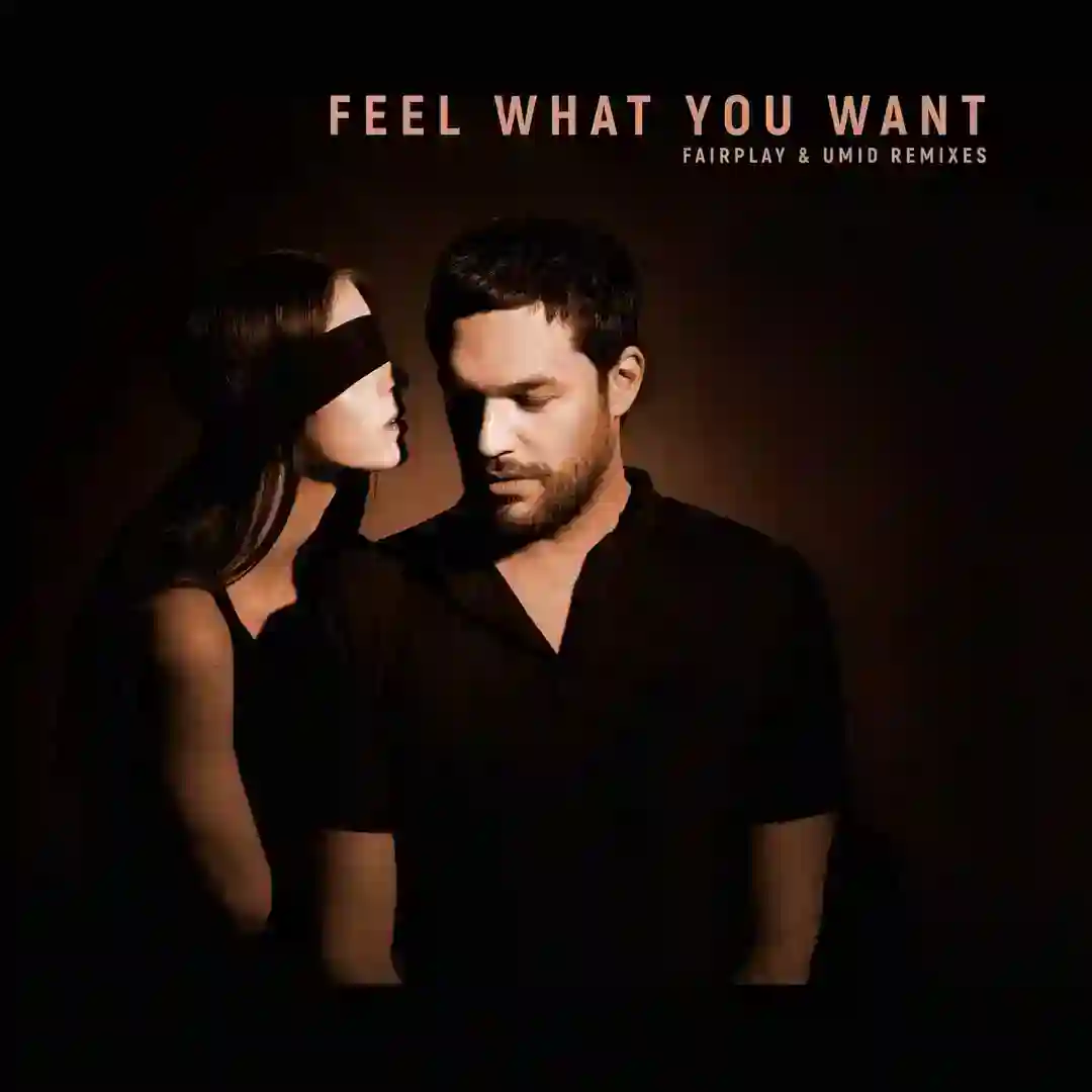 Feel What You Want (Fairplay & Umid Remixes) cover