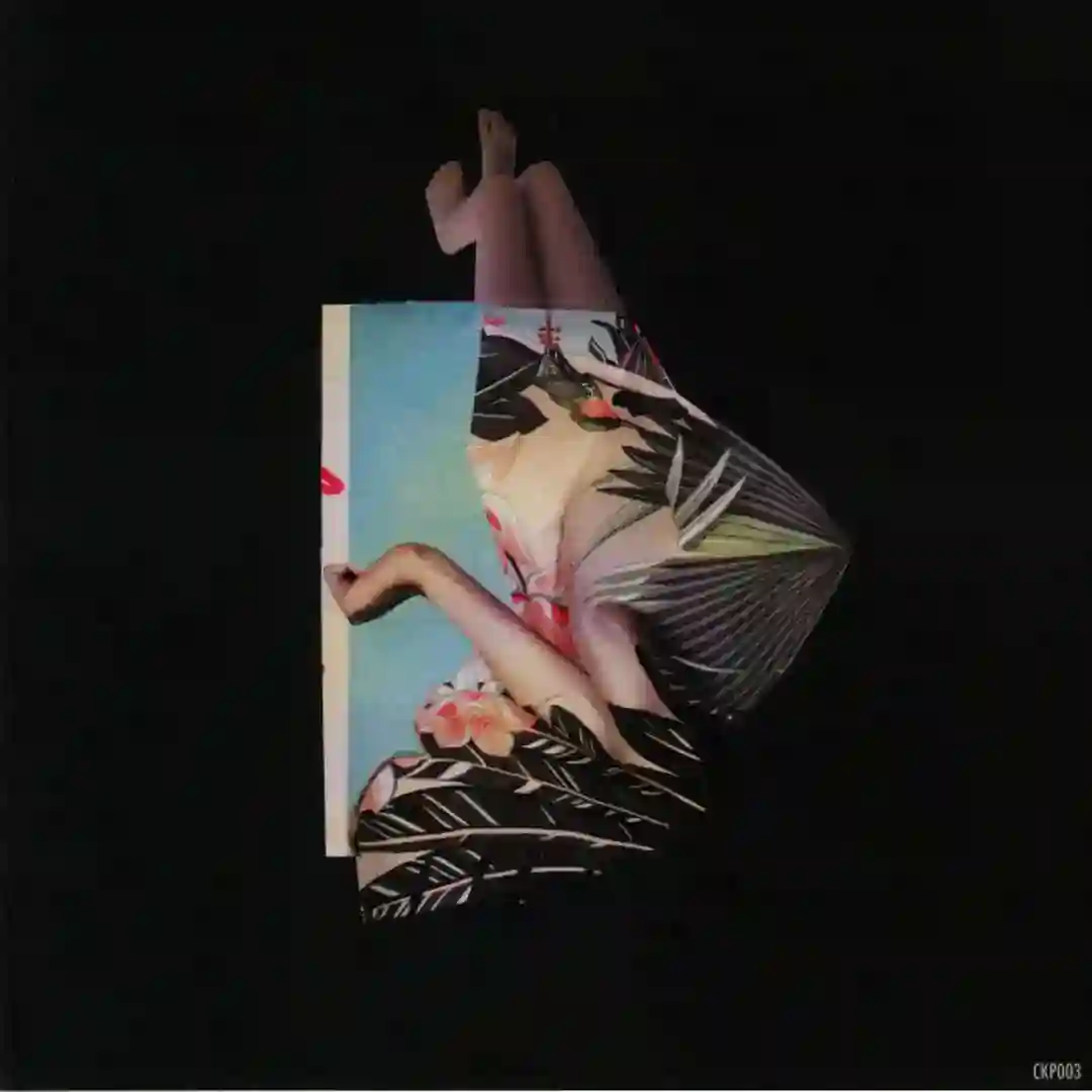 B1 Lloergan VINYL ONLY  cover