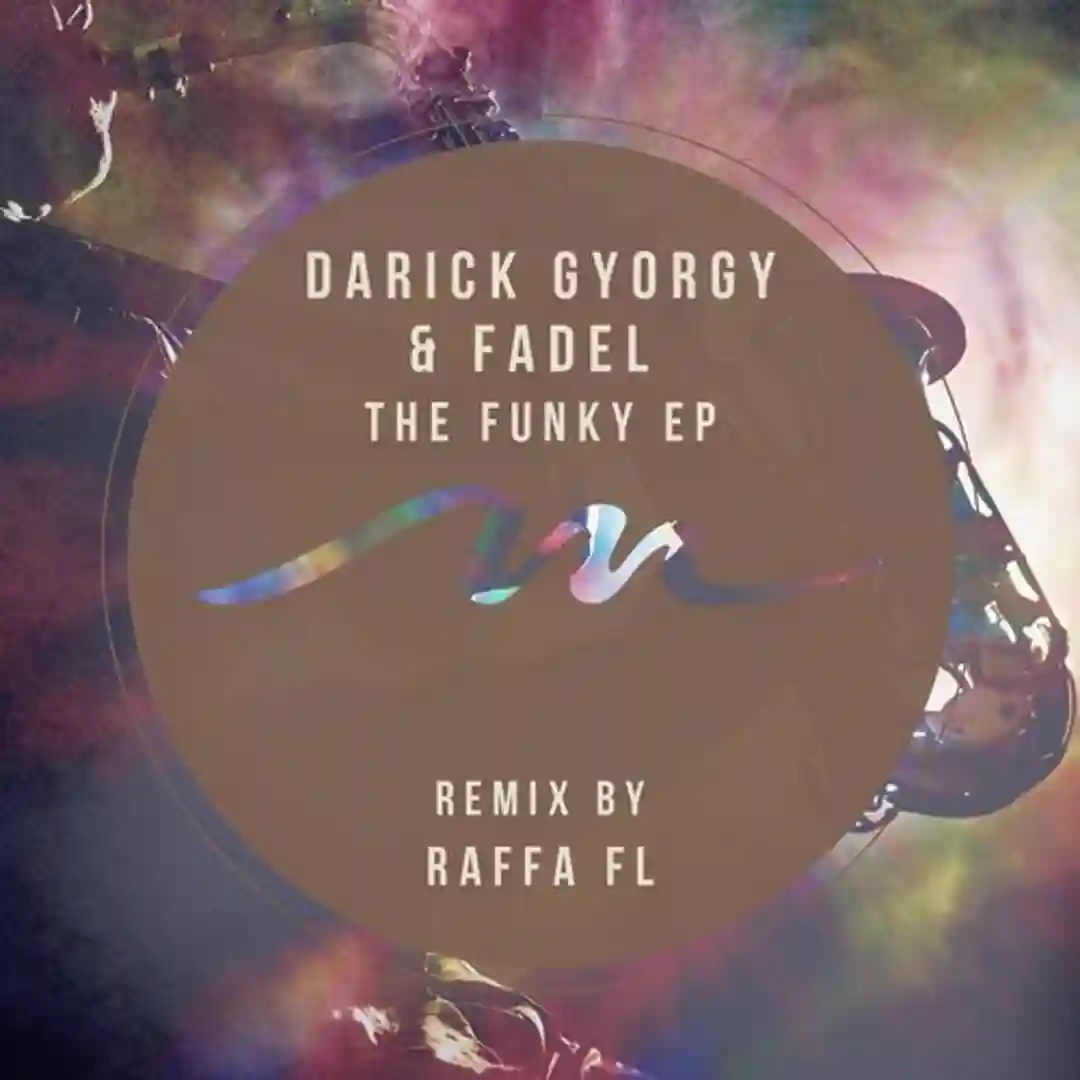The Funky (Original Mix) cover