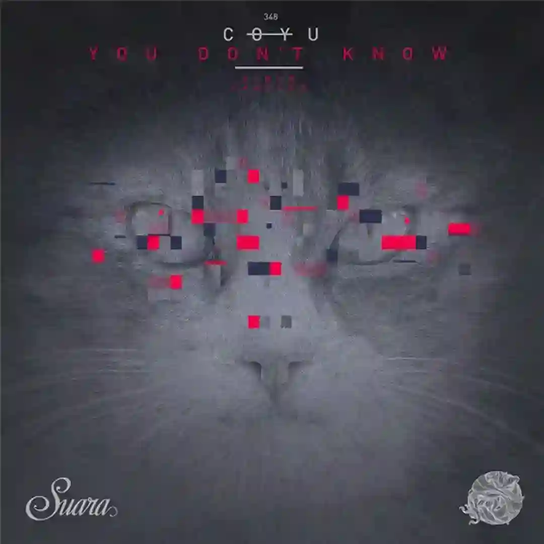 Insania (Original Mix) cover