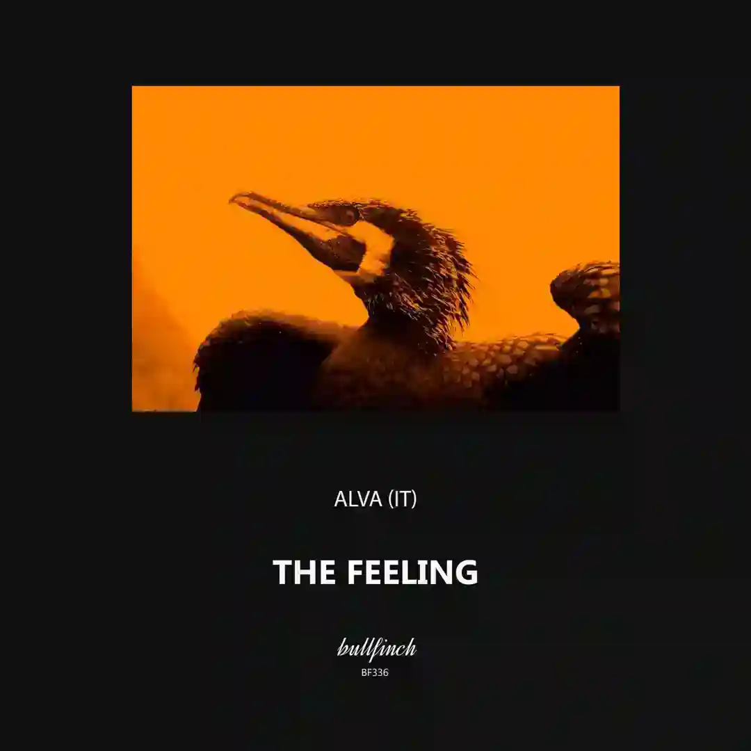 The Feeling cover