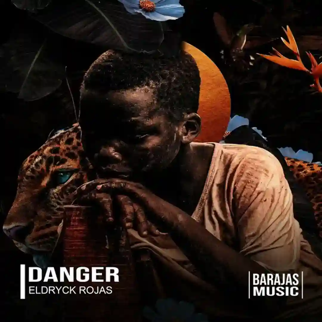 Danger (Original Mix) cover