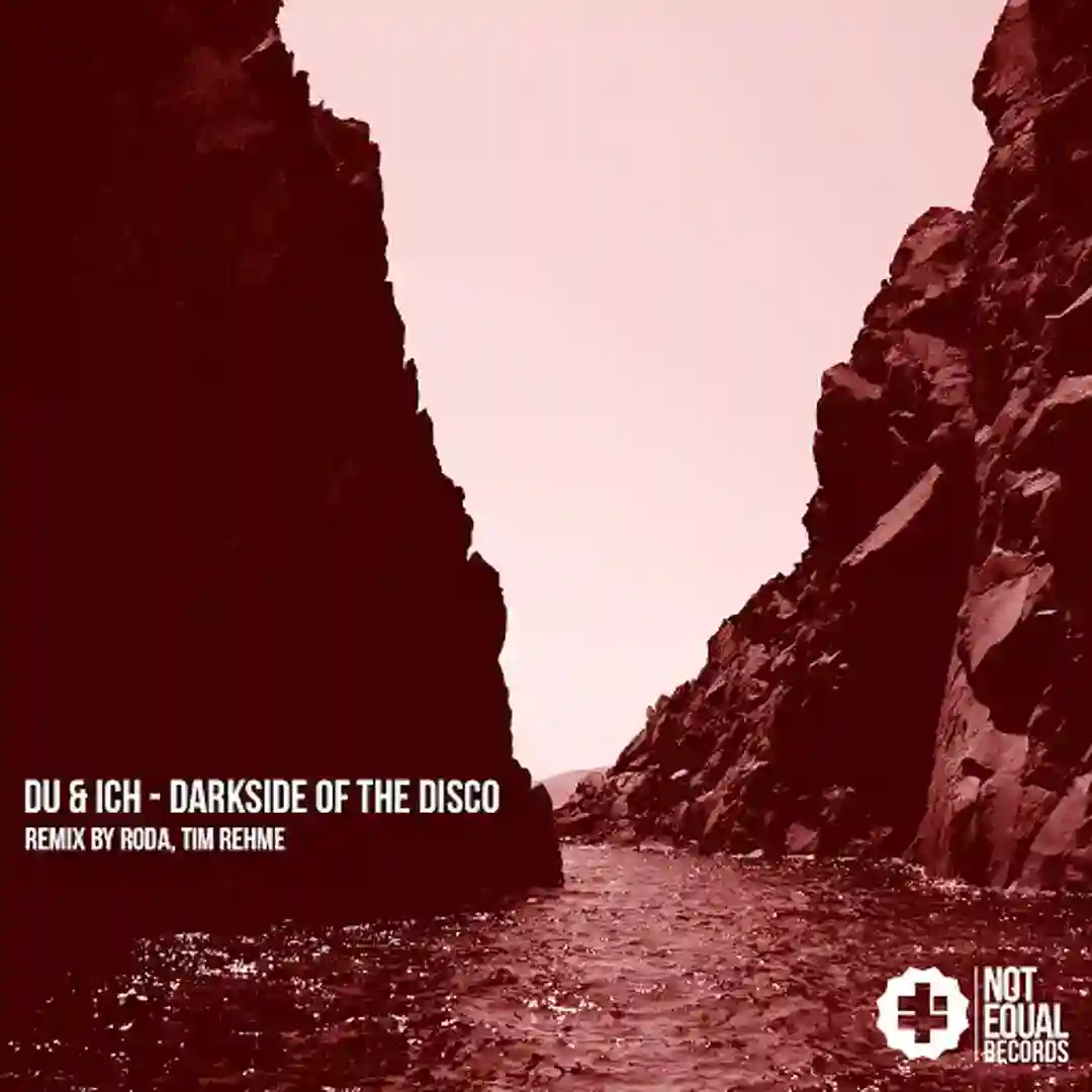 Darkside of the Disco (Original Mix) cover