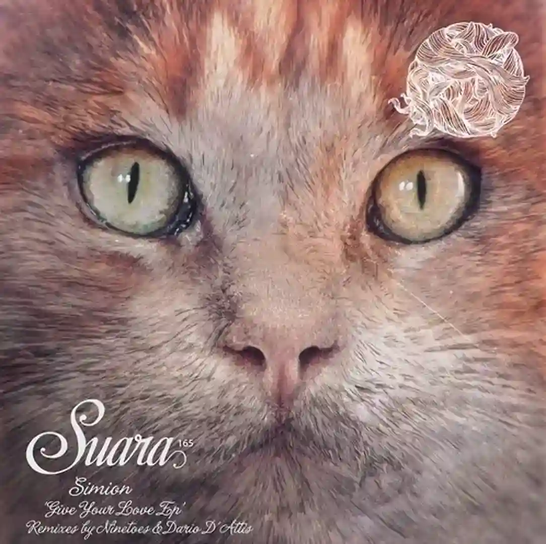 Give You Love EP cover