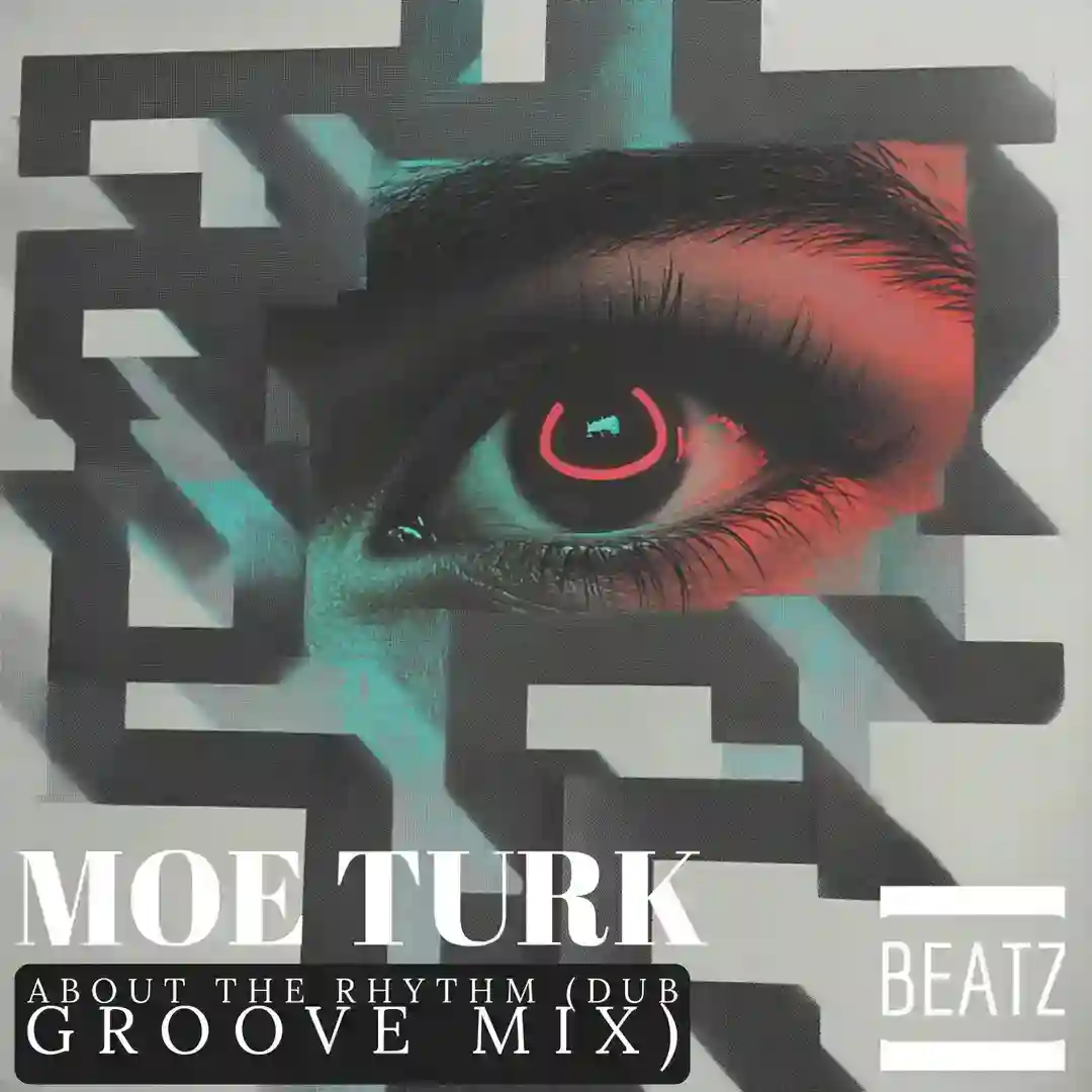 About The Rhythm (Dub Groove Mix) cover