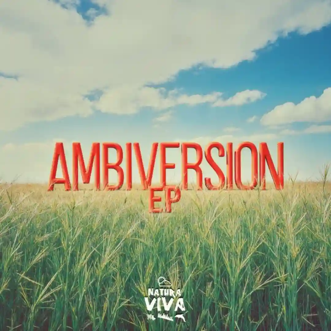 Salisbury (Original mix) cover