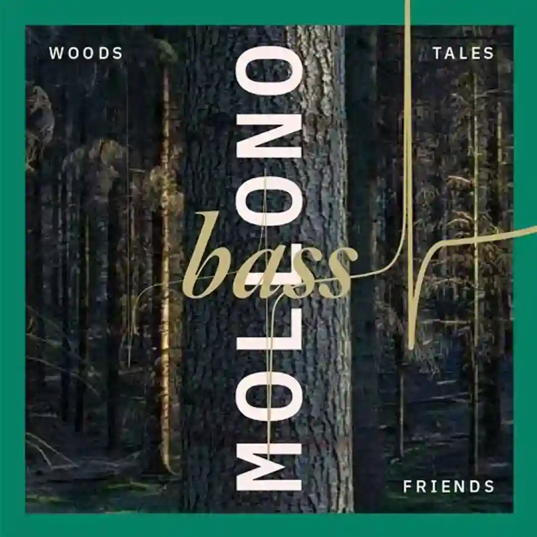 Twilight (Original Mix) cover