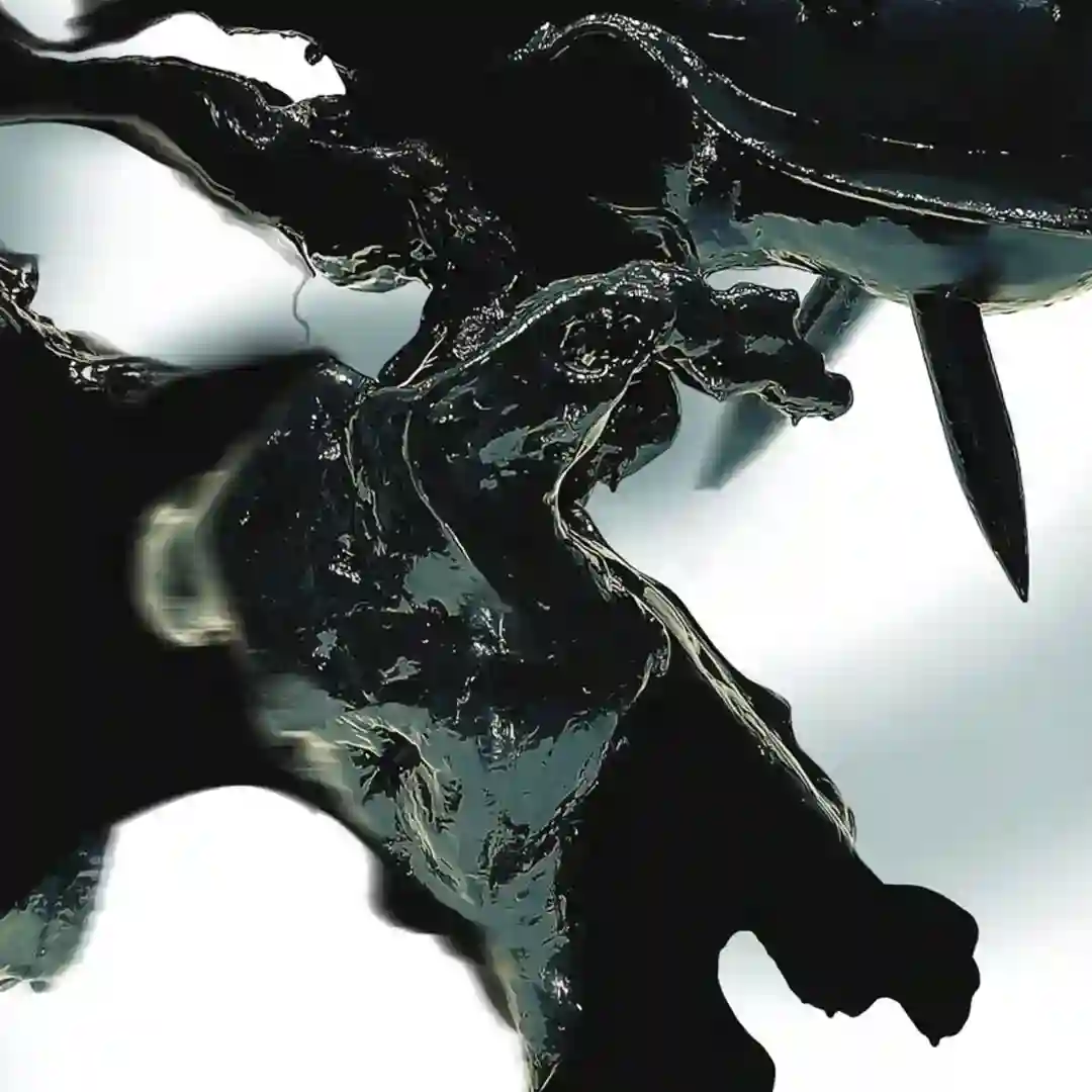 South Facing Brightness cover