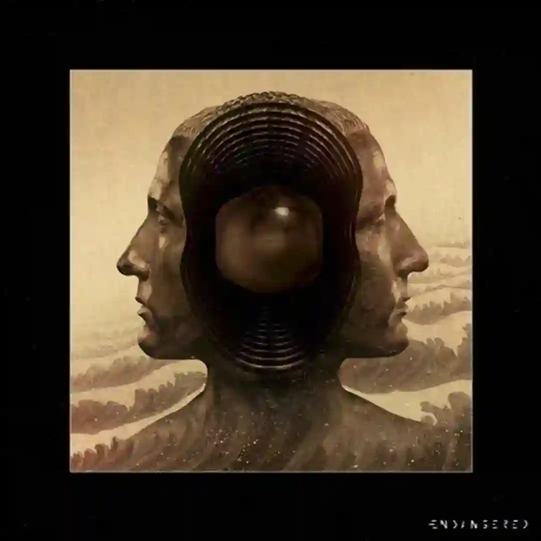 Unknown Door cover