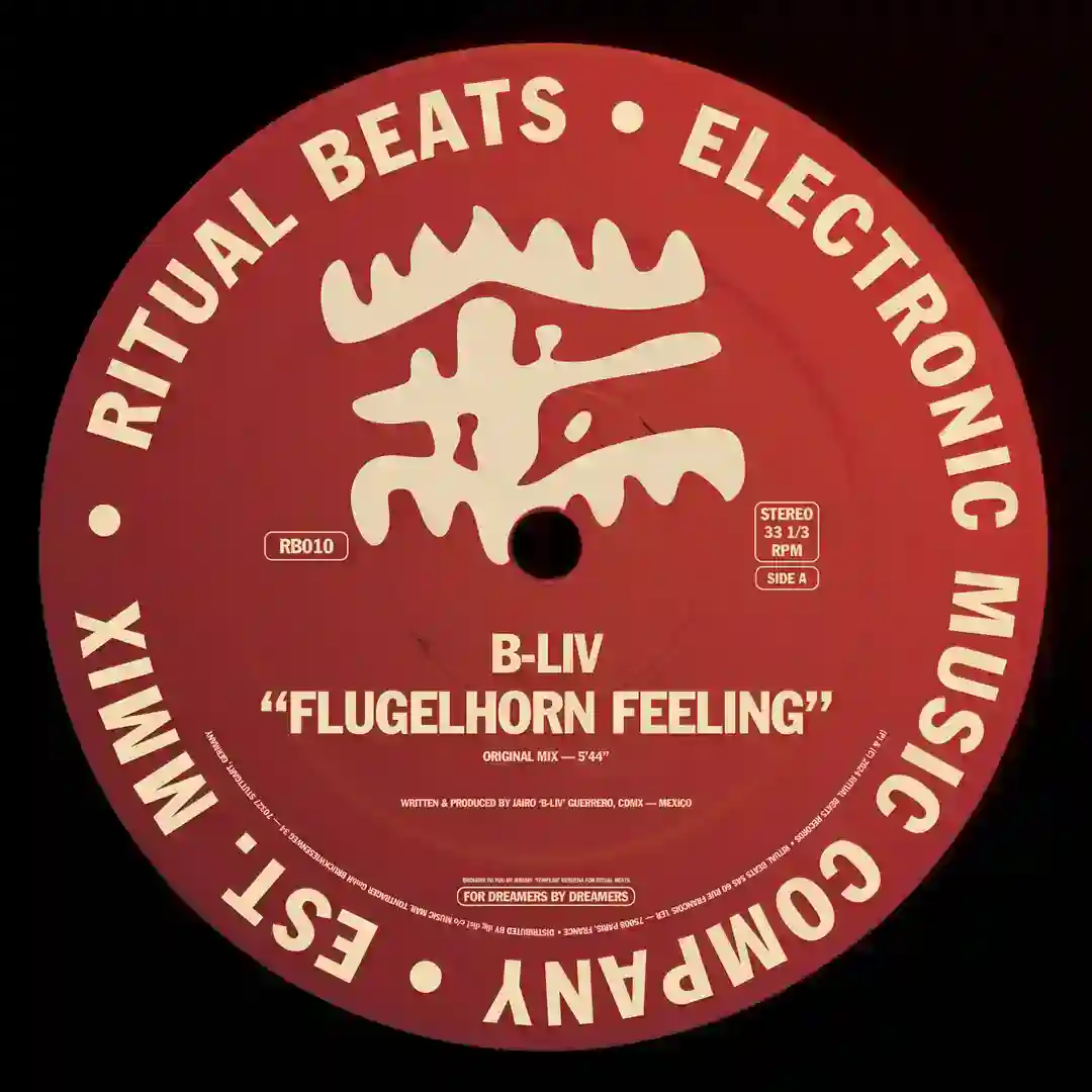 Flugelhorn Feeling (Original Mix) cover