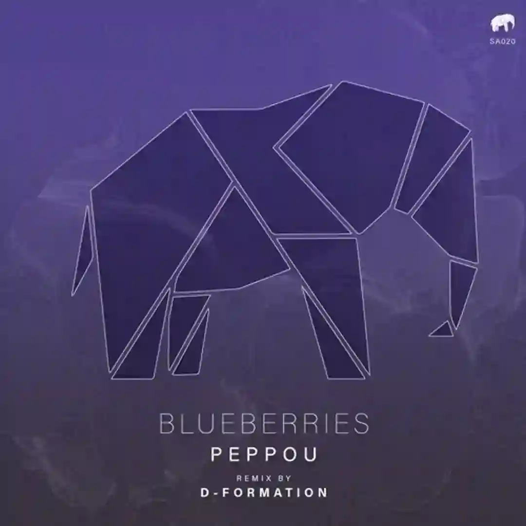 Blueberries cover