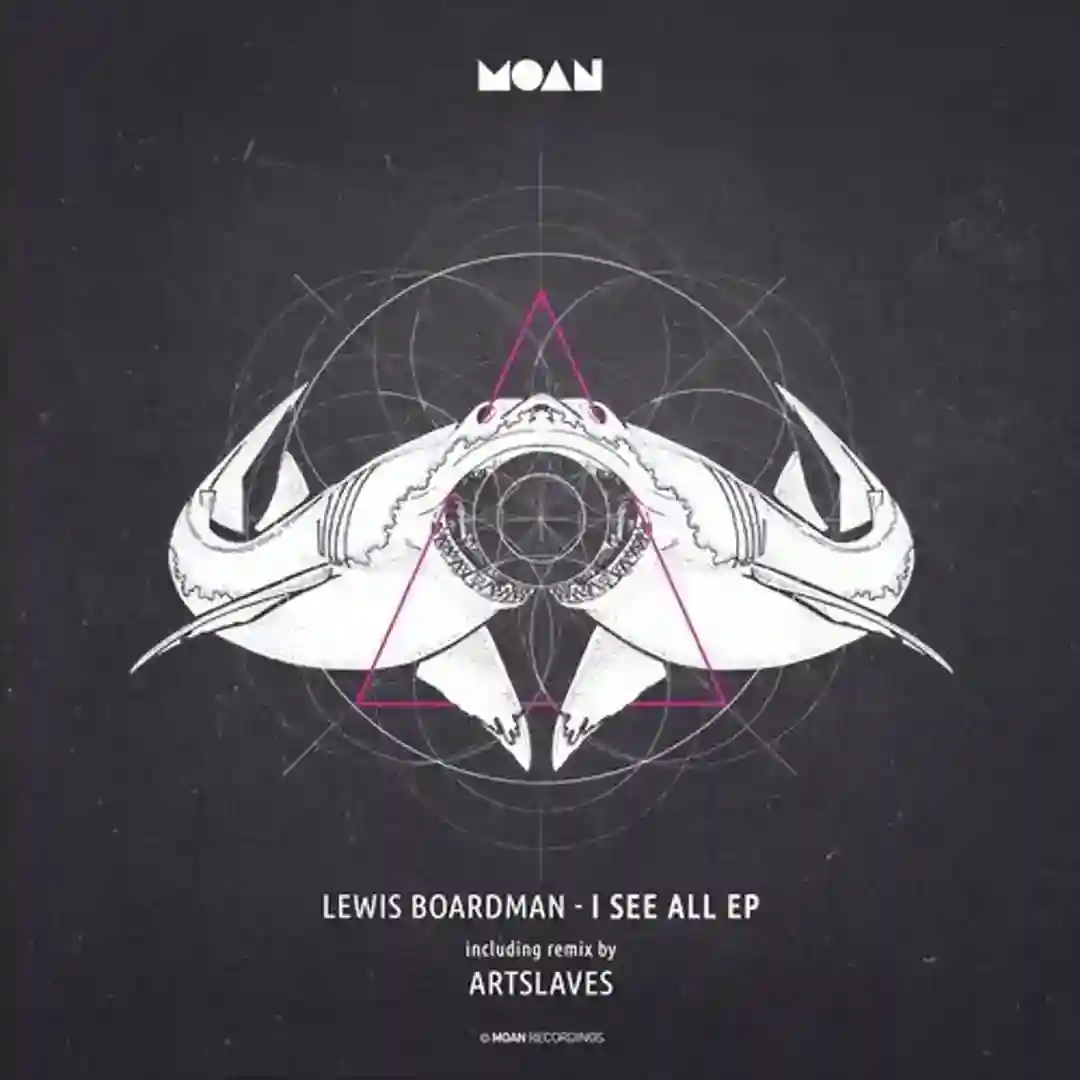I See All (Original Mix) cover