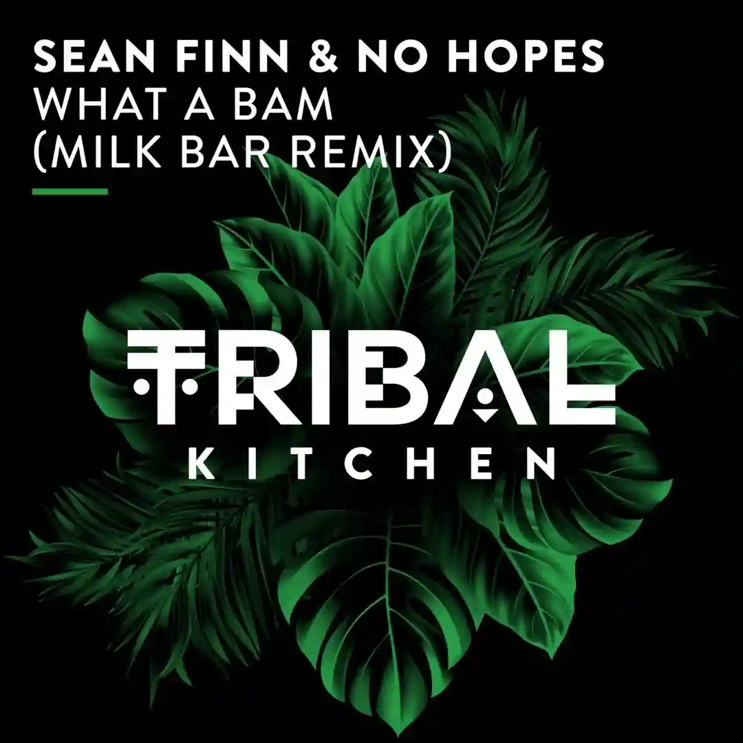 What a Bam (Milk Bar Extended Remix) cover