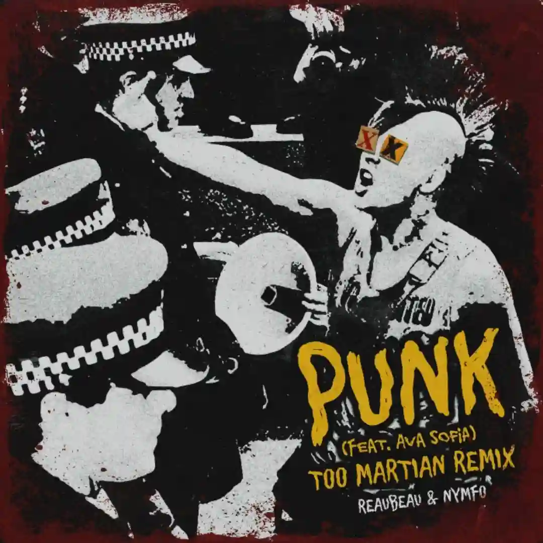 Punk (feat. Ava Sofia) [Too Martian Remix] cover