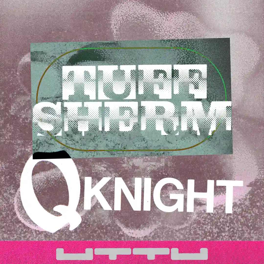 Q Knight (Original Mix) cover