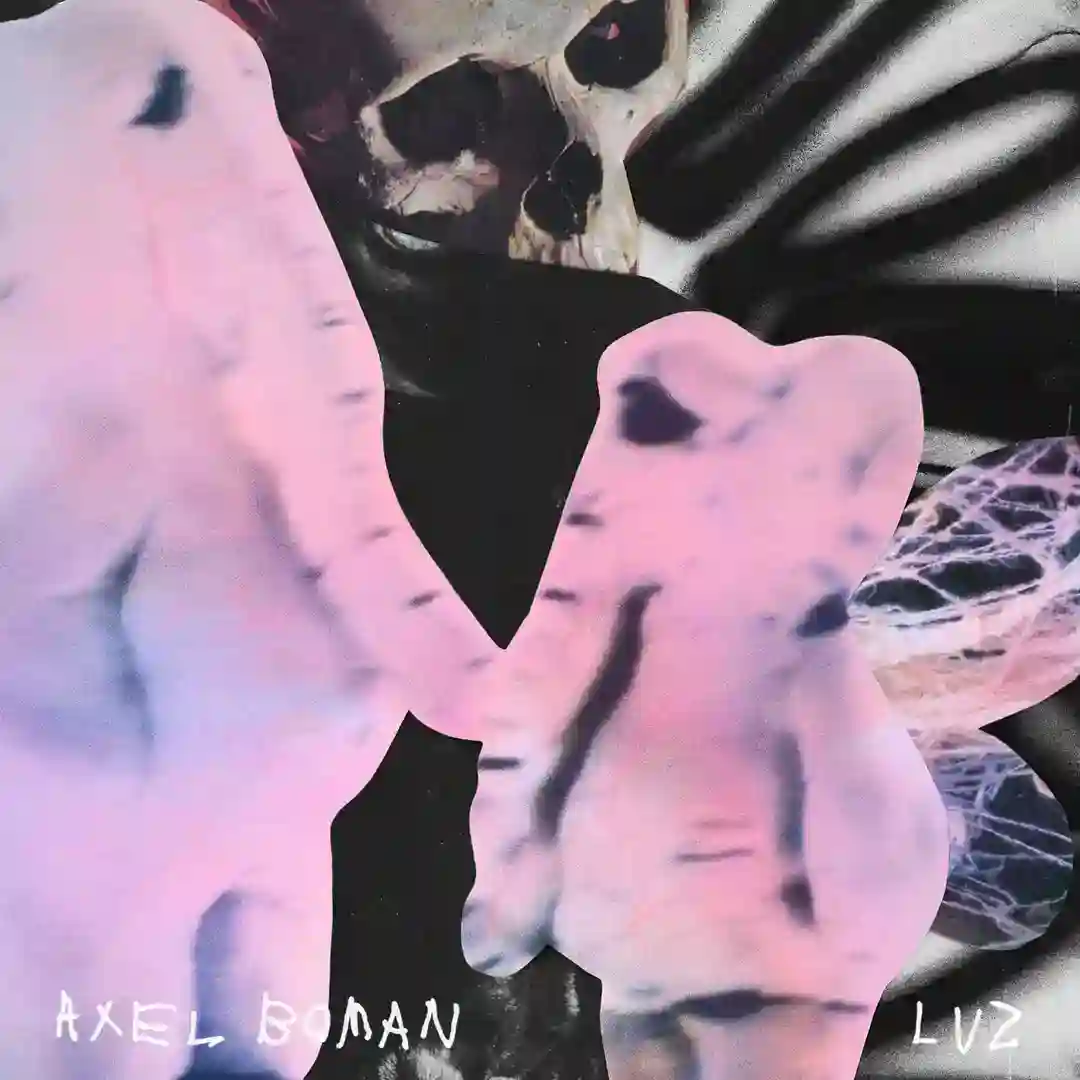 LUZ cover