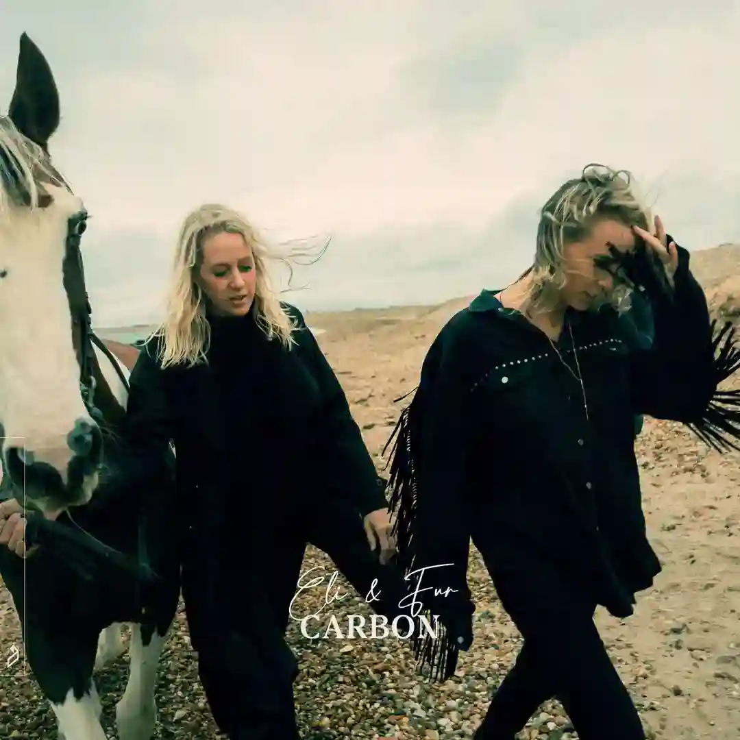 Wild Skies cover