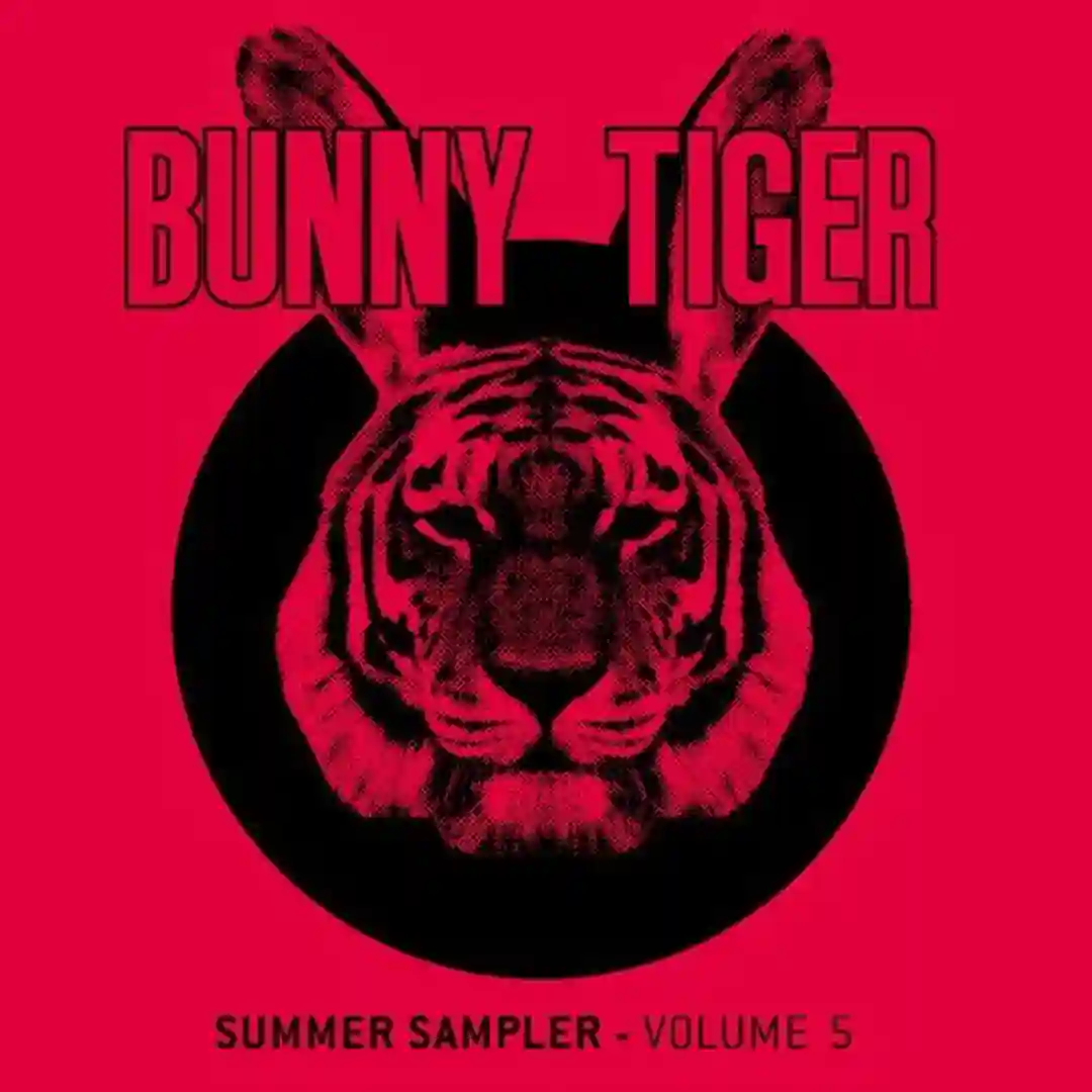 Jungle Fire (Original Mix) cover