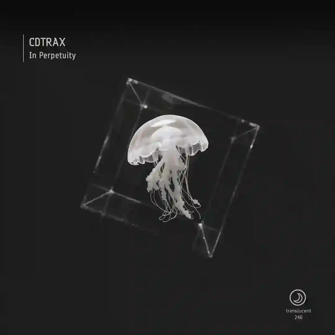 In Perpetuity cover